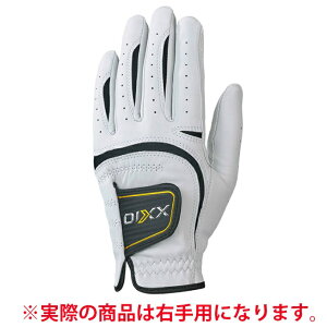 y[֑z[NVI XXIO St EpO[u Y rv GGG-X019R