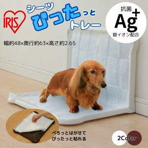 ACXI[} IRIS OHYAMA g[ V[c҂ƃg[ Ch P-SPTWyzz d od