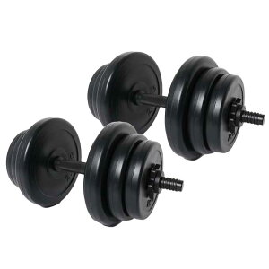 �r�W�����N�G�X�g(VISION QUEST) �_���x�� PE�_���x��10kg 2�Z�b�g VQ580104D02