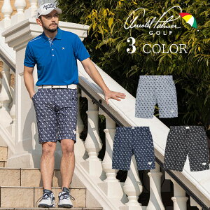 y[֑z A[mhp[}[ arnold palmer StEFA V[gpc Y vgV[gpc AP220109D07 od