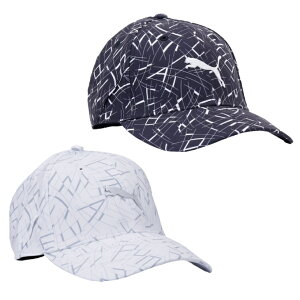 v[}(PUMA) St Lbv Y PF AOP PCE u Lbv 027108 y2025NH~fz od