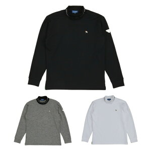 A[mhp[}[ StEFA Vc Y w{bNlbNSH AP220202E11 y2025NH~fz od