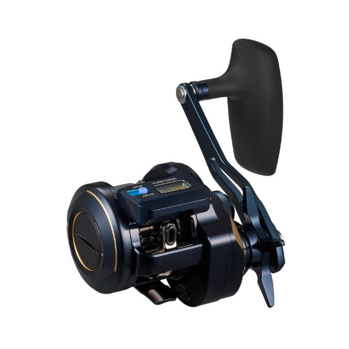 楽天市場】ダイワ(DAIWA) ソルティガ IC 300-C SALTIGA 300HL-SJ-C 
