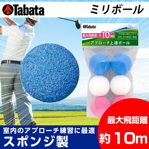 ^o^ TABATASt Kp Kg[jO{[K~{[GV-0304