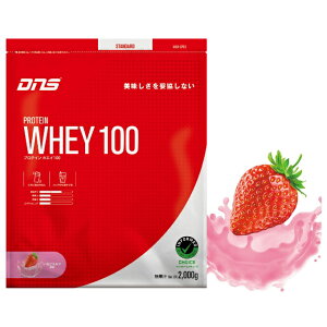 DNS fB[GkGX veC zGCveC zGC100 C`S~N 2000g D23001110306 run