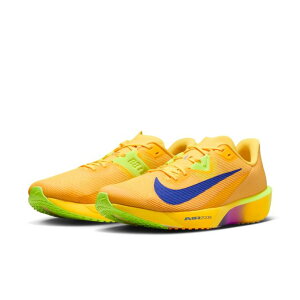 �y���Ԍ���N�[�|���z�z���I 5/30 0:00�`6/11 1:59�z �i�C�L(NIKE) �����j���O�V���[�Y �����Y �Y�[�����C�o���t���C 4 FV6040-801 run