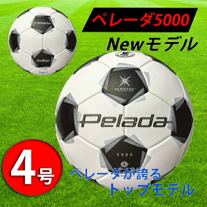 e TbJ[{[ 4 苅 y[_5000 AZeBbN F4K5000 molten gbvf \ z\ w Nu  sc