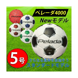 e TbJ[{[ 5 苅 y[_4000 D F5K4000 molten X^_[hf ϖ z\ w Z Nu j  sc