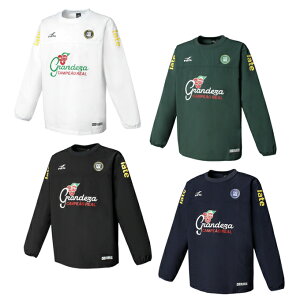 y[֑z FINTA TbJ[EFA sXegbv Y GDZ sXegbv FT4513 sc