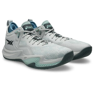 �A�V�b�N�X(asics) �o�X�P�b�g�V���[�Y �����Y NOVA SURGE LOW 2 �m���@ �T�[�W ���[ 2 1061A051-020 sc