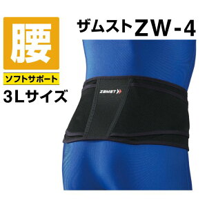 UXg T|[^[ ZW-4 3LTCY 383405 ZAMST sw