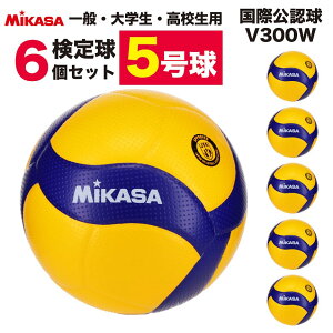 ~JT o[苅5 o[{[ - V300W 6Zbg swd