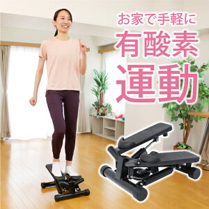 �r�W�����N�G�X�g VISION QUEST �t�B�b�g�l�X �g���[�j���O�X�e�b�p�[ VQ580107I22 sw