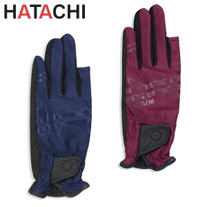 yő1000~OFFN[|I~11/27 1:59zy[֑zn^` OEhStO[u EgXgb`O[u BH8028 HATACHI