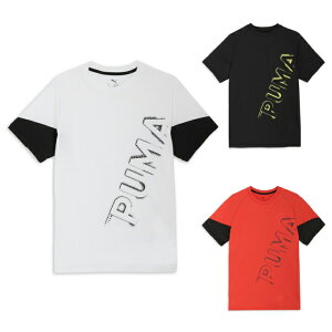 y[֑zv[} TVc  Y g[jO TAD  TVc 527049 PUMA