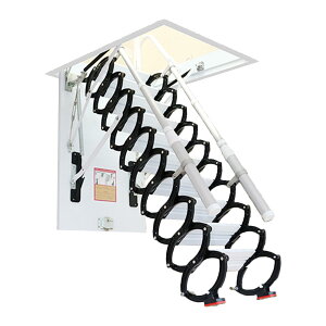 ͂ Ti-Mg Lk͂ ܂肽ݎ  tg͂ ͂v_E B ̌^  nVS A[Xgt  tgKi SbN ~ ȃXy[