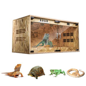 y|Cg3{!11!X܂̐lCi!z঒ރP[W ސn OSBEbh ʋCǂgJQ Zbg TgJQwr{bNX ގP[X g ۉ{bNX ঒ 