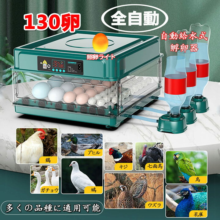 楽天市場】自動インキュベーター 自動孵卵器 孵卵機 自動転卵 卵孵化器 