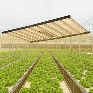 A琬Cg led pl 1000W 10 ܂肽 A|瓔 tXyNg 0-10V\ ͔|v A琬 k͔|v 琬ƖCg ؍H ϗtA Ai 