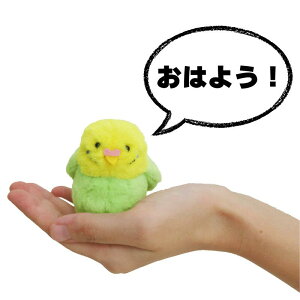 Ă̂܂˂@ׂ@ޕԂ@ZLZCCR@V}GiK@̂Ђ@ׂ}XRbg