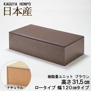 􃆃jbg [^Cv 120cm i`oruE 120cm×s60cm×31.5cmjbg オ  [ jbg  jbg x` xbh BOX {bNX Xc[ xR^c 