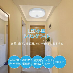 y10܂P5{{5%OFFN[|z1/2Zbg V[OCg ZT[Cg led lZT[ RpNg VƖ Ɩ Cg  ^ ^ RZg ledd dF u mini 