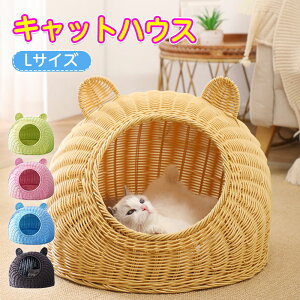 LbgnEX ې   ^ Lp L  lR ˂ Ck ^ ybgpi   LTCY   ʔNg 킢Lt