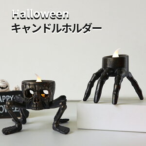 Lhz_[ nEB XJ 2Zbg CX^h nEB Cg Ɩ LhXeBbN  ͋C p[eB[p  u eB[Cgp 낤