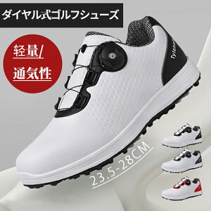 StV[Y Y _C St C fB[X Xj[J[ y ʋC 3E Stp h\[ J`J` 傫TCY h ϋv _炩 j  ^ 23cm`28cm ̓ v