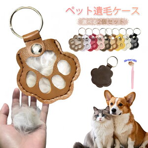 ybg ѓ ybg   ybg P[X 2Zbg ybg AObY ЂP[X {v  n[g ~` ybg{ уP[X ybg  ANZT[ ybg  