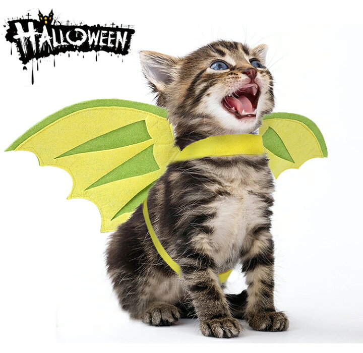 楽天市場 ハロウィン ハロウィーン 猫のコスプレ バットマン ハロウィン コスプレ 猫用 仮装 ペット服 コスチューム ハロウィーン 猫用 ペット 服 恐竜 怪獣 変装 衣装 犬服 猫服 動物 ペット用品 ひまわりの種
