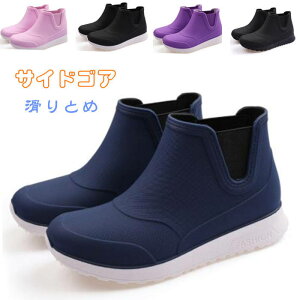 TChSACu[c fB[X CV[Y fB[X JC V[gu[c AEghA ~J Sh y JC h ʋ h ZC y | _ ~J΍ 䕗łΉ 