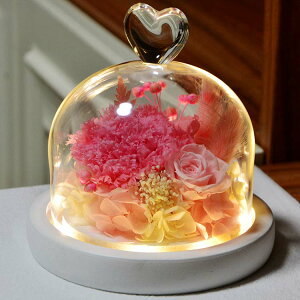 送料無料 プリザーブドフラワー カーネーション 永遠の花 永生花 枯れない花 ギフト プレゼント ガラスポット ドライフラワー ボックス付 LEDライト付 卒業式 母の日 成人式 成人 誕生日 結