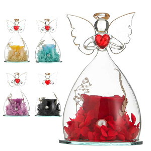  vU[uht[ ỉ i ͂Ȃ o Mtg KN [Y v[g KX|bg hCt[ {bNXt Ǝ ̓ l l a j  