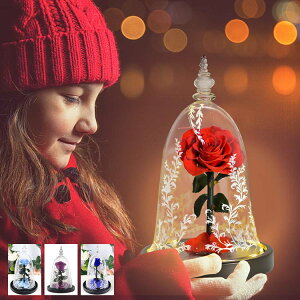  vU[uht[ o KN [Y ỉ i ͂Ȃ Mtg v[g KX|bg hCt[ {bNXt LEDCgt Ǝ ̓ l l a 