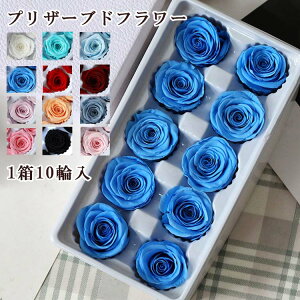  vU[uht[ 110֓ ỉ i ͂Ȃ o Mtg KN [Y v[g hCt[ Ǝ ̓ l l a j  ޏ LO 