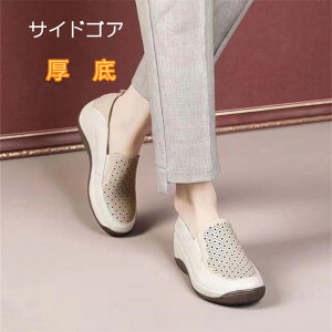 TChSA@bV@ʋC@@pvX@fB[X@Xb|@C@ɂȂ JV JWAC ʋ OL p@킢@t@H@ā@}}C@R L L EGbW