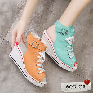 8Z`q[ʋC@T_ fB[X@LoXV[Y EFbWq[@nCq[ Xj[J[ fB[XV[Y r YbNC t  H ɂȂJWAV[Y 22`26.5c