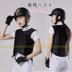 nxXg npi xN {fBveN^[ npxXg nveN^[ veN^[xXg S n jp Y fB[X WjA j  q