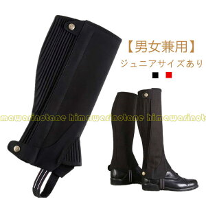 np n[t`bvX npi n n[t`vX `bvX n`bvX `vX n   MX Xpbc Q[g  r veN^[ jp fB[X Y W