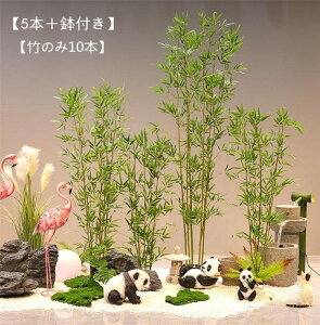 y5{{/|̂10{ztFCNO[ | CeAO[ ^Ηt A lHϗtA lHA ϗt lHt ͂ȂO[A ԉ fR[V lH| t