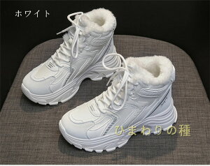 6cmhXj[J[ fB[X EC^[V[Y hV[Y fB[X  Xm[V[Y N ~ JWAV[Y {A NуXj[J[@hC h ۉ gC y 