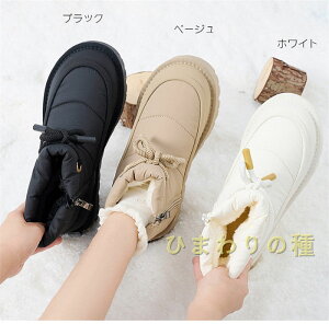 hC hu[c fB[X Xm[u[c Ou[c N ~ {A XL[V[YhC h h ۉ gC  y ₷ ɂȂ@Ƃ TCY@h