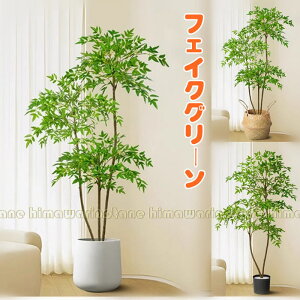 tFCNO[ | V|@CeAO[ ^Ηt A lHϗtA lHA ϗt lHt ͂ȂO[A ԉ fR[V lH| tFCN| K[