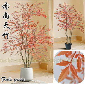 ԓV|@tFCNO[ CeAO[ ^Ηt A lHϗtA lHA ϗt lHt ͂ȂO[A ԉ fR[V lH| tFCN| K[f