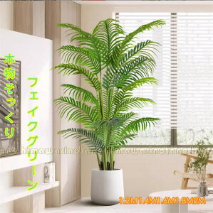 y6SxőfށztFCNO[  ^ϗtA i` N₩ȐF ׍HJ lHϗtA *`t q Q V x_  ze AJ tFCNO[