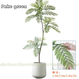 tFCNO[ CeAO[ ^Ηt A lHϗtA lHA ϗt lHt ͂ȂO[A ԉ fR[V lH| tFCN| K[fjOtF