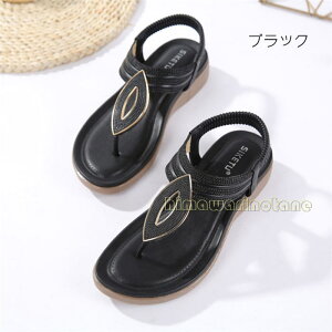 gO T_ fB[X XgbvT_ r[`T_@y ʋC ϋv ₷ h hL  T_@gOT_