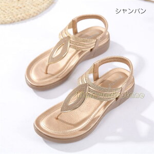 gO T_ fB[X XgbvT_ r[`T_@y ʋC ϋv ₷ h hL  T_@gOT_