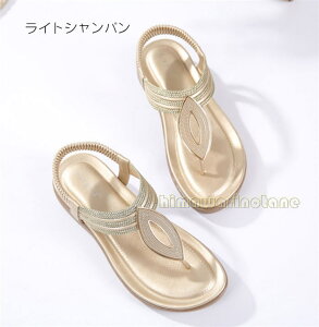 gO T_ fB[X XgbvT_ r[`T_@y ʋC ϋv ₷ h hL  T_@gOT_